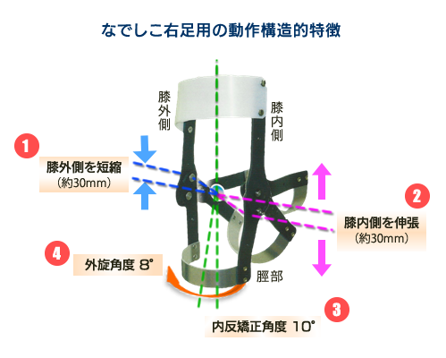 なでしこ右足用の動作構造的特徴